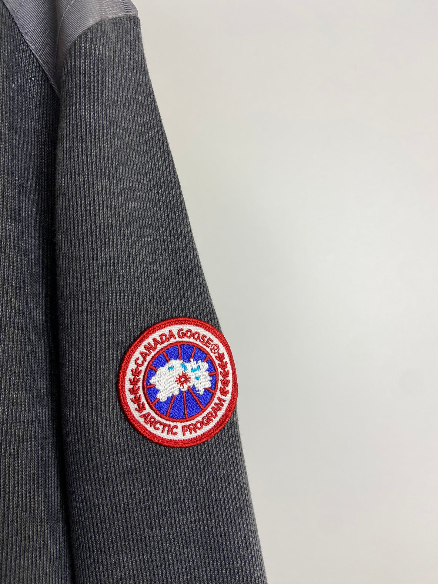 Canada goose 181-19