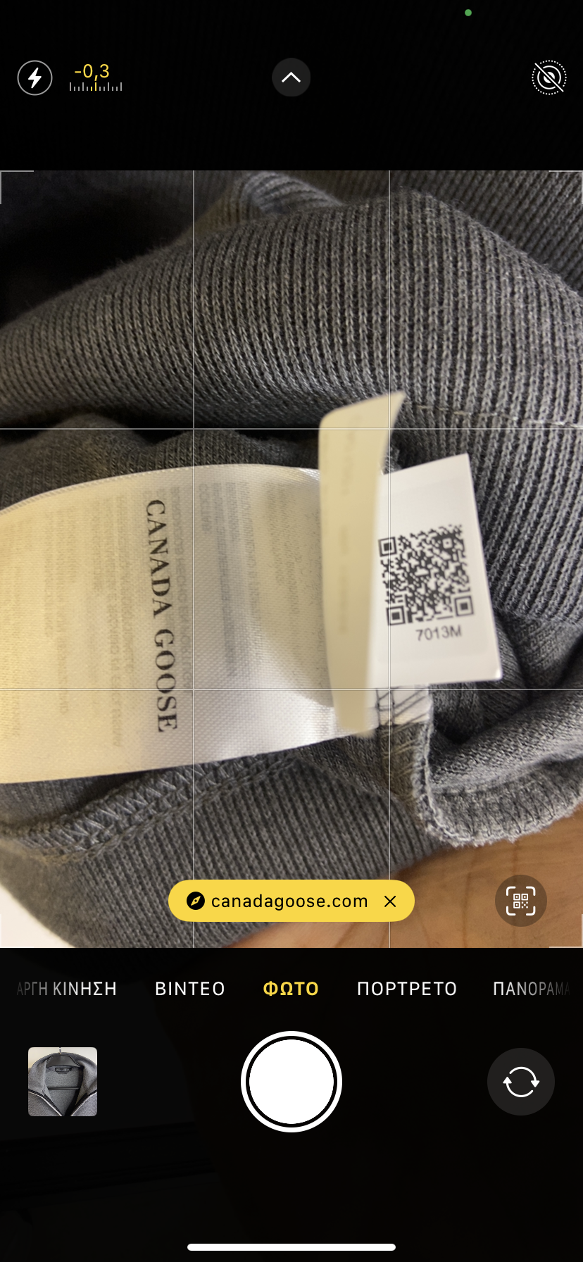 Canada goose 181-19